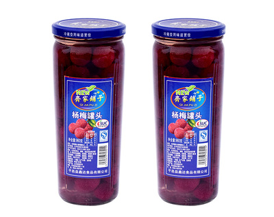 齐家铺子杨梅罐头960克