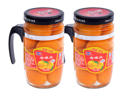齐家铺子杏罐头608克